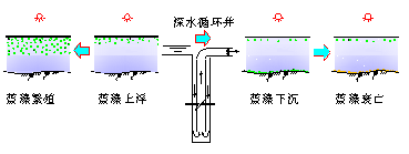 深井增壓控制水體藍藻生長繁殖原理 