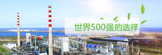 世界500強(qiáng)企業(yè)的選擇